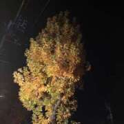 ヒメ日記 2025/12/21 05:39 投稿 ひとみ 千姫(道後)