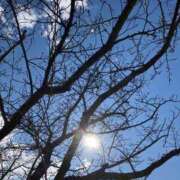 ヒメ日記 2026/01/03 14:41 投稿 ひとみ 千姫(道後)