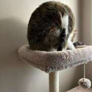 ヒメ日記 2026/01/05 16:17 投稿 ひとみ 千姫(道後)