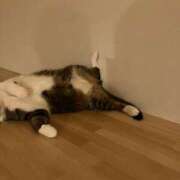 ヒメ日記 2026/01/10 00:38 投稿 ひとみ 千姫(道後)