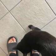 ヒメ日記 2026/01/12 07:30 投稿 ひとみ 千姫(道後)