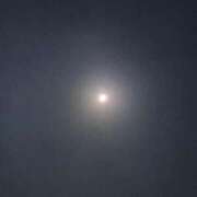 ヒメ日記 2026/03/01 22:11 投稿 ひとみ 千姫(道後)