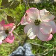 ヒメ日記 2026/03/03 05:39 投稿 ひとみ 千姫(道後)