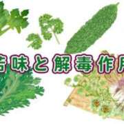 ヒメ日記 2026/03/05 06:14 投稿 ひとみ 千姫(道後)