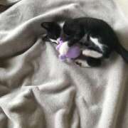 ヒメ日記 2026/03/09 06:50 投稿 ひとみ 千姫(道後)