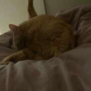 ヒメ日記 2026/03/10 01:24 投稿 ひとみ 千姫(道後)