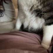 ヒメ日記 2026/03/15 07:22 投稿 ひとみ 千姫(道後)