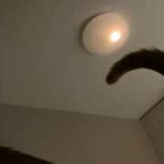 ヒメ日記 2026/03/16 05:25 投稿 ひとみ 千姫(道後)