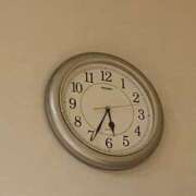 ヒメ日記 2026/03/18 06:55 投稿 ひとみ 千姫(道後)