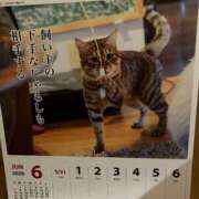 ヒメ日記 2026/05/31 20:39 投稿 ひとみ 千姫(道後)