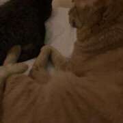 ヒメ日記 2026/06/01 20:43 投稿 ひとみ 千姫(道後)