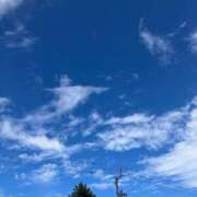 ヒメ日記 2026/06/17 05:56 投稿 ひとみ 千姫(道後)