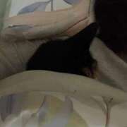 ヒメ日記 2026/07/13 07:13 投稿 ひとみ 千姫(道後)