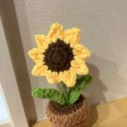 ヒメ日記 2026/09/21 06:46 投稿 ひとみ 千姫(道後)