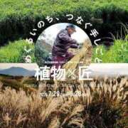 ヒメ日記 2025/08/16 15:15 投稿 えま 完熟ばなな新宿