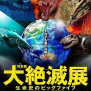 ヒメ日記 2026/01/24 14:55 投稿 えま 完熟ばなな新宿