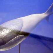 ヒメ日記 2026/01/25 15:15 投稿 えま 完熟ばなな新宿