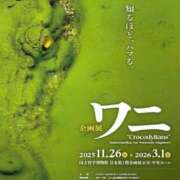ヒメ日記 2026/01/31 15:35 投稿 えま 完熟ばなな新宿