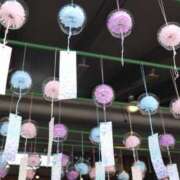 ちづる こんばんは〜🌙*.｡ とある風俗店♡やりすぎさーくる新宿大久保店♡で色んな無料オプションしてみました