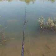 ヒメ日記 2025/12/22 03:50 投稿 あずみ 熟女の風俗最終章 蒲田店