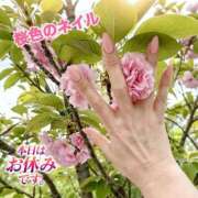 ヒメ日記 2026/04/15 12:45 投稿 れんか ママれもん葛西店