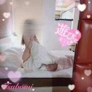 ヒメ日記 2025/06/03 08:33 投稿 つぼみ consolation