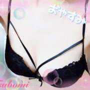 ヒメ日記 2025/06/11 23:28 投稿 つぼみ consolation