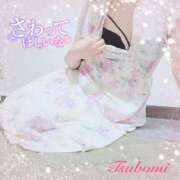 ヒメ日記 2025/06/26 07:29 投稿 つぼみ consolation