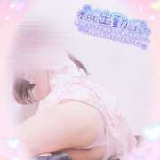 ヒメ日記 2025/07/15 09:04 投稿 つぼみ consolation