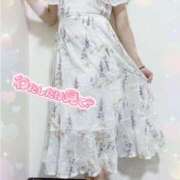 ヒメ日記 2025/09/28 14:31 投稿 つぼみ consolation