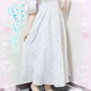 ヒメ日記 2025/10/15 21:22 投稿 つぼみ consolation