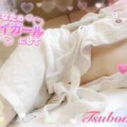 ヒメ日記 2025/11/16 10:36 投稿 つぼみ consolation