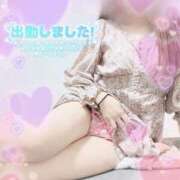 ヒメ日記 2026/02/20 09:32 投稿 つぼみ consolation