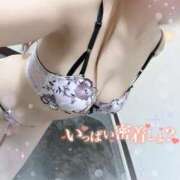 ヒメ日記 2026/02/26 09:04 投稿 つぼみ consolation