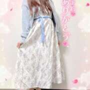 ヒメ日記 2026/03/09 09:53 投稿 つぼみ consolation