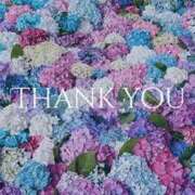 ヒメ日記 2026/04/12 12:21 投稿 つぼみ consolation