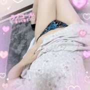 ヒメ日記 2026/07/14 09:21 投稿 つぼみ consolation