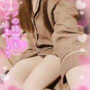 ヒメ日記 2026/07/15 08:34 投稿 つぼみ consolation