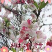 ヒメ日記 2025/03/30 07:14 投稿 黒板　くみ 昼下がりの情事