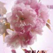 ヒメ日記 2025/04/13 09:59 投稿 黒板　くみ 昼下がりの情事