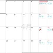 ヒメ日記 2025/04/06 11:25 投稿 あんず VIVIDCREW 梅田堂山店