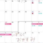 ヒメ日記 2025/04/14 08:10 投稿 あんず VIVIDCREW 梅田堂山店