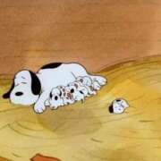 ヒメ日記 2025/05/05 09:43 投稿 もえ 妹系イメージSOAP萌えフードル学園 大宮本校