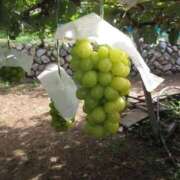 ヒメ日記 2025/11/01 15:51 投稿 もえ 妹系イメージSOAP萌えフードル学園 大宮本校