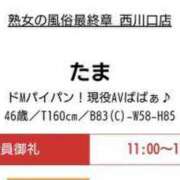 ヒメ日記 2024/06/16 10:23 投稿 たま 熟女の風俗最終章 西川口店