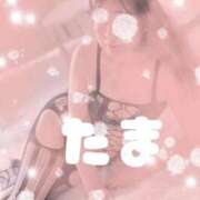 ヒメ日記 2026/06/09 03:00 投稿 たま 熟女の風俗最終章 西川口店
