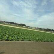 ヒメ日記 2026/02/27 13:25 投稿 石川 川崎人妻城