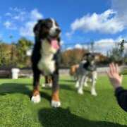 ヒメ日記 2024/12/13 13:15 投稿 流川カヲル-KINDAN- KINDAN-禁断-