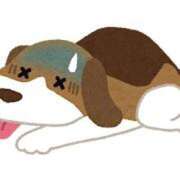 ヒメ日記 2025/02/15 11:01 投稿 流川カヲル-KINDAN- KINDAN-禁断-