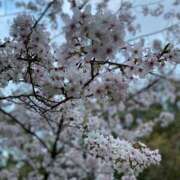 ヒメ日記 2025/04/07 11:01 投稿 流川カヲル-KINDAN- KINDAN-禁断-